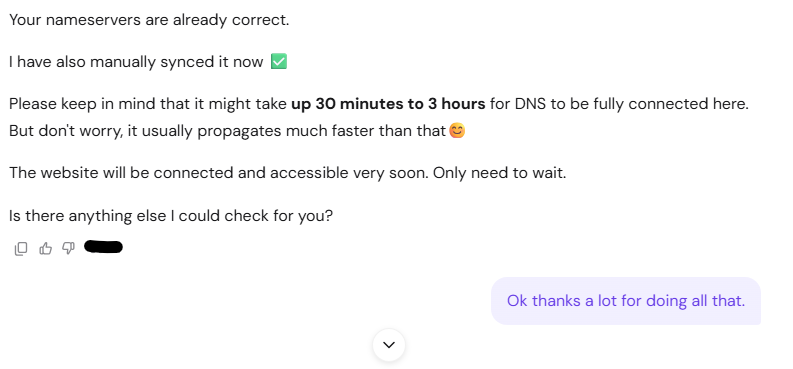 Hostinger Agent reply saying the nameservers are already correct, that it manually synced them, and that DNS may take up to 3 hours